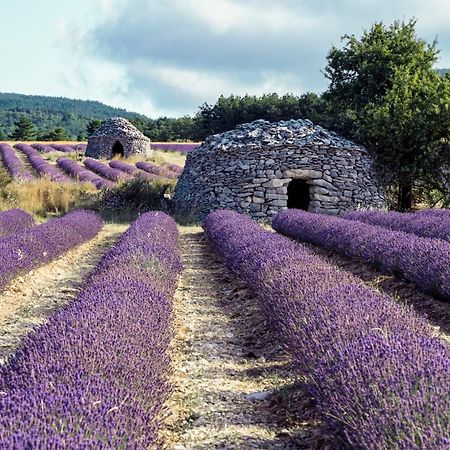 Le Cabanon Des Lavandes Entre Mont Ventoux Et Luberon Sault-de-Vaucluse Esterno foto